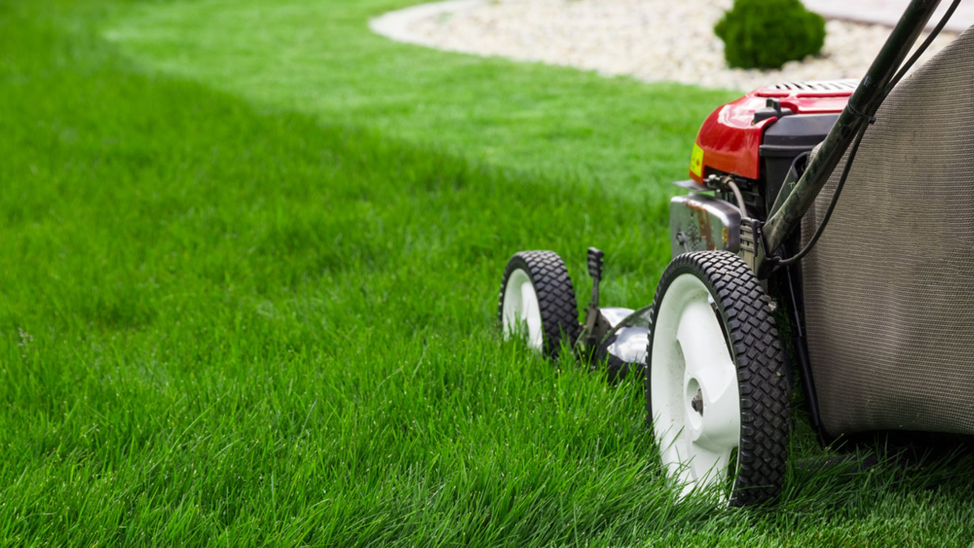 Lawn Care 101 – A Beginner’s Guide
